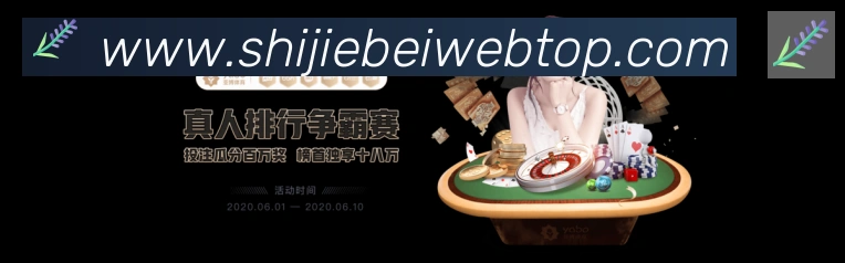 互动解说服务